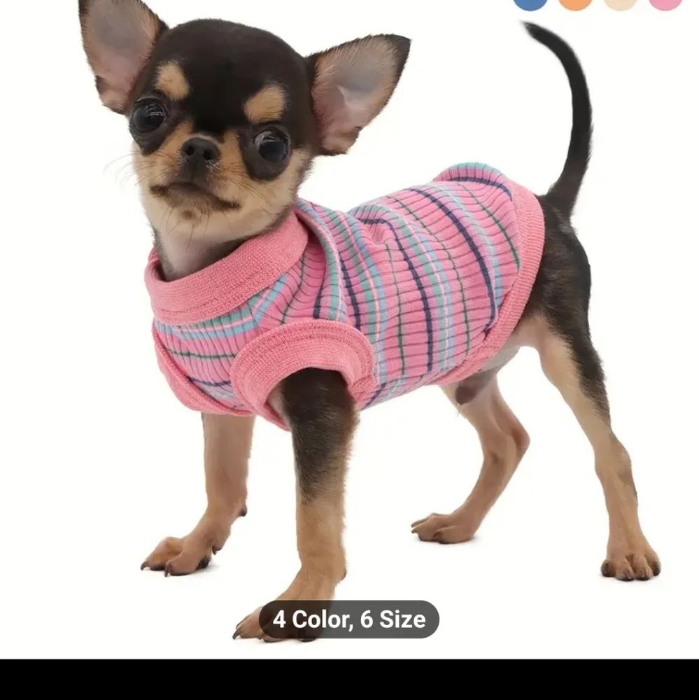 Divadoggies T-shirts and leash harnesses with.loop for chain attachment